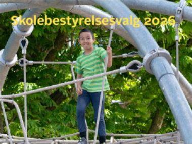 Skolebestyrelses valg